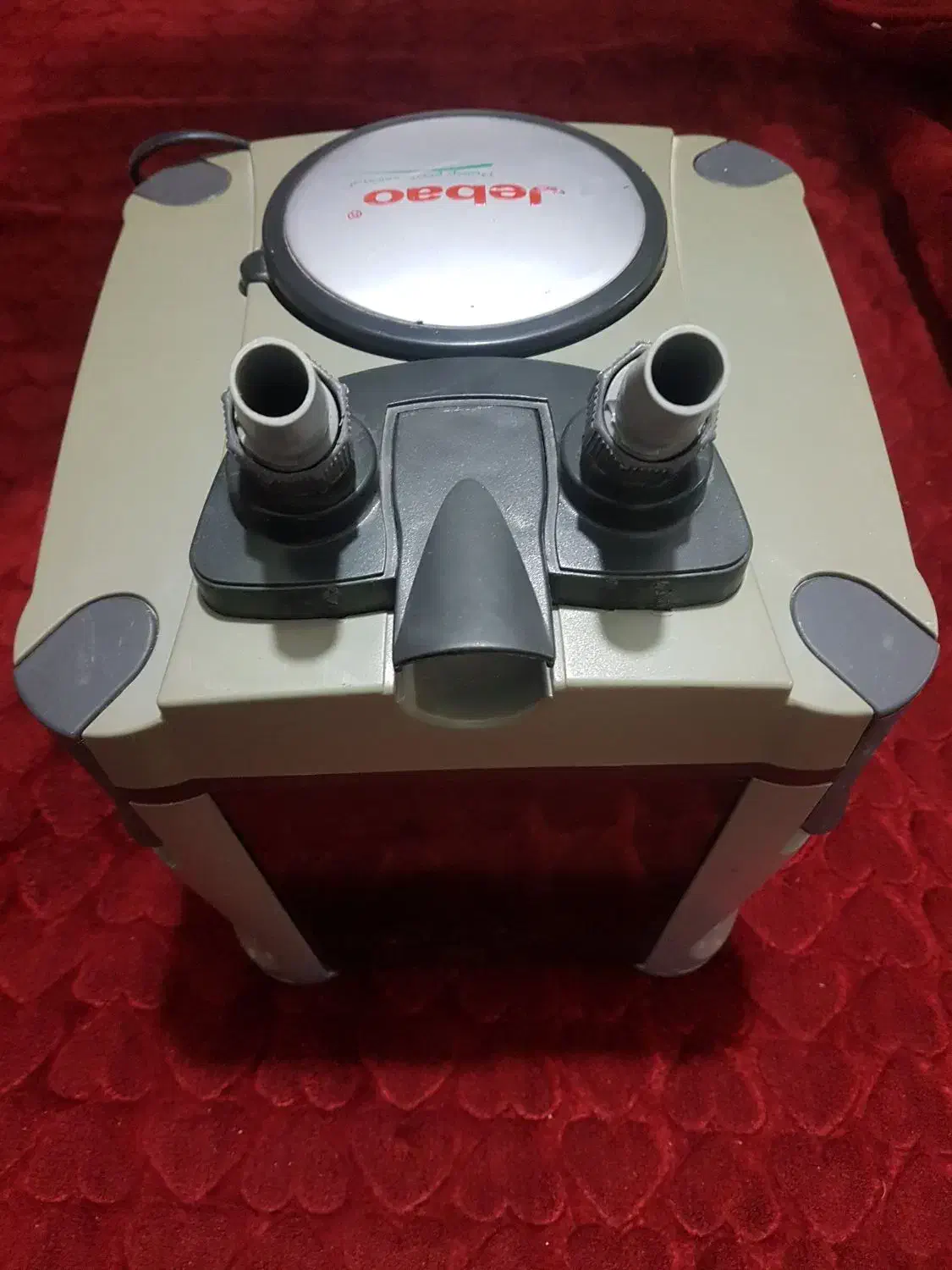 لوازماکواریوم|ماهی|برخوار, |دیوار