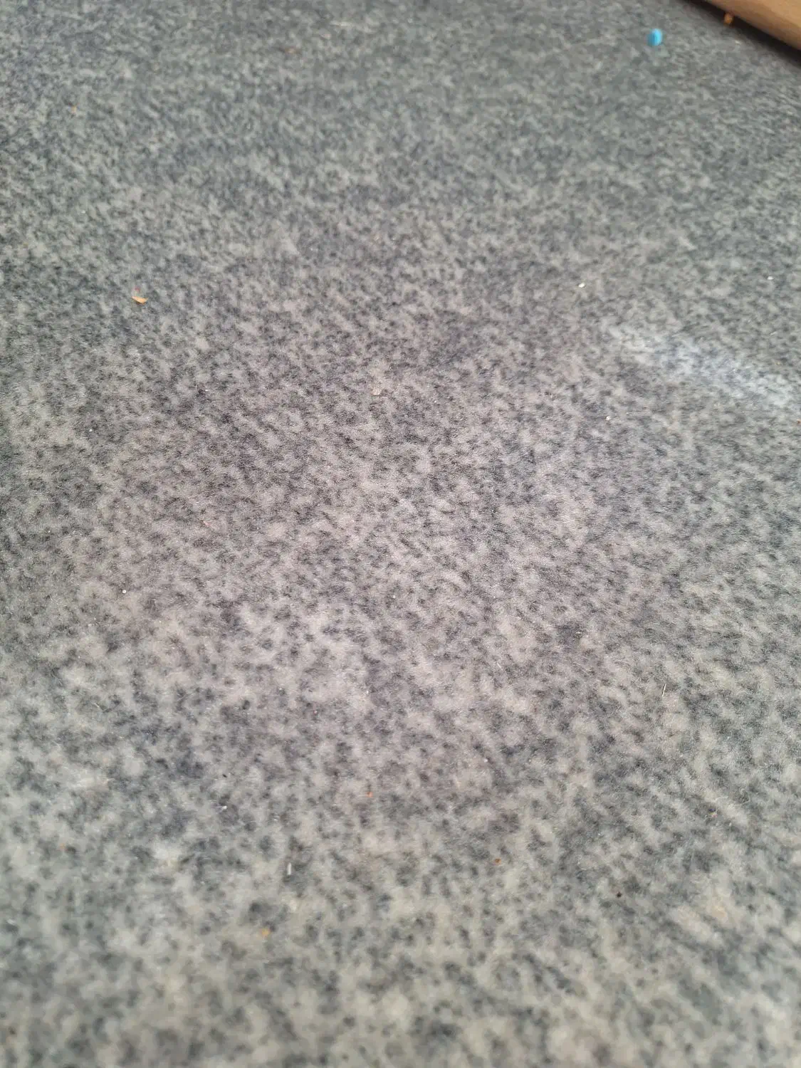 موکت|موکت|قزوین, |دیوار