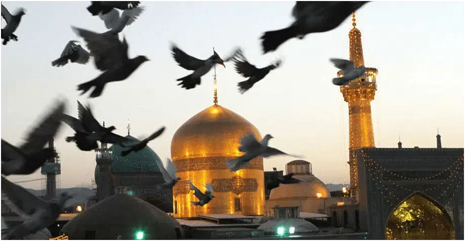 سفر زیارتی مشهد مقدس|فعالیت داوطلبانه|میناب, |دیوار