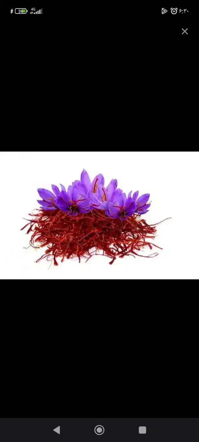 سلام گل پخش میکنم درسبزوارتا100کیلو|عمده‌فروشی|سبزوار, شرق کال میانی|دیوار