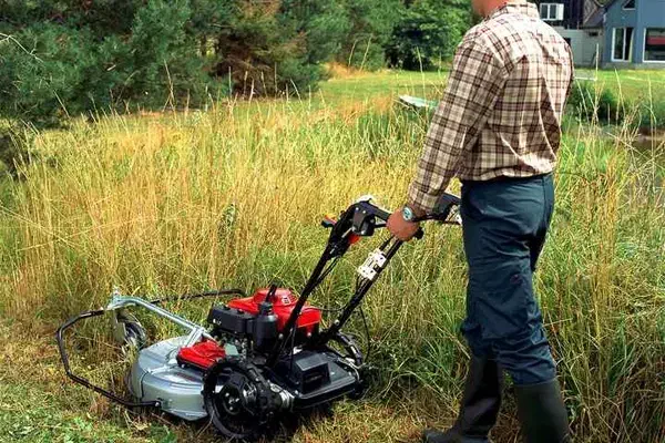 ارائه خدمات علف زنی با دستگاه|خدمات باغبانی و درختکاری|امیرکلا, |دیوار