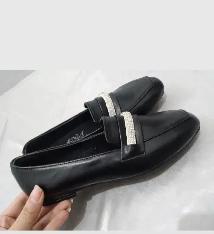 کالج|کیف، کفش، کمربند|آبدانان, |دیوار