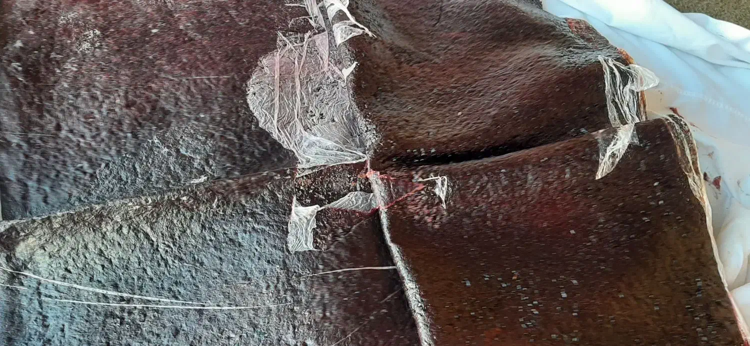 لواشک|خوردنی و آشامیدنی|نیشابور, فضل|دیوار