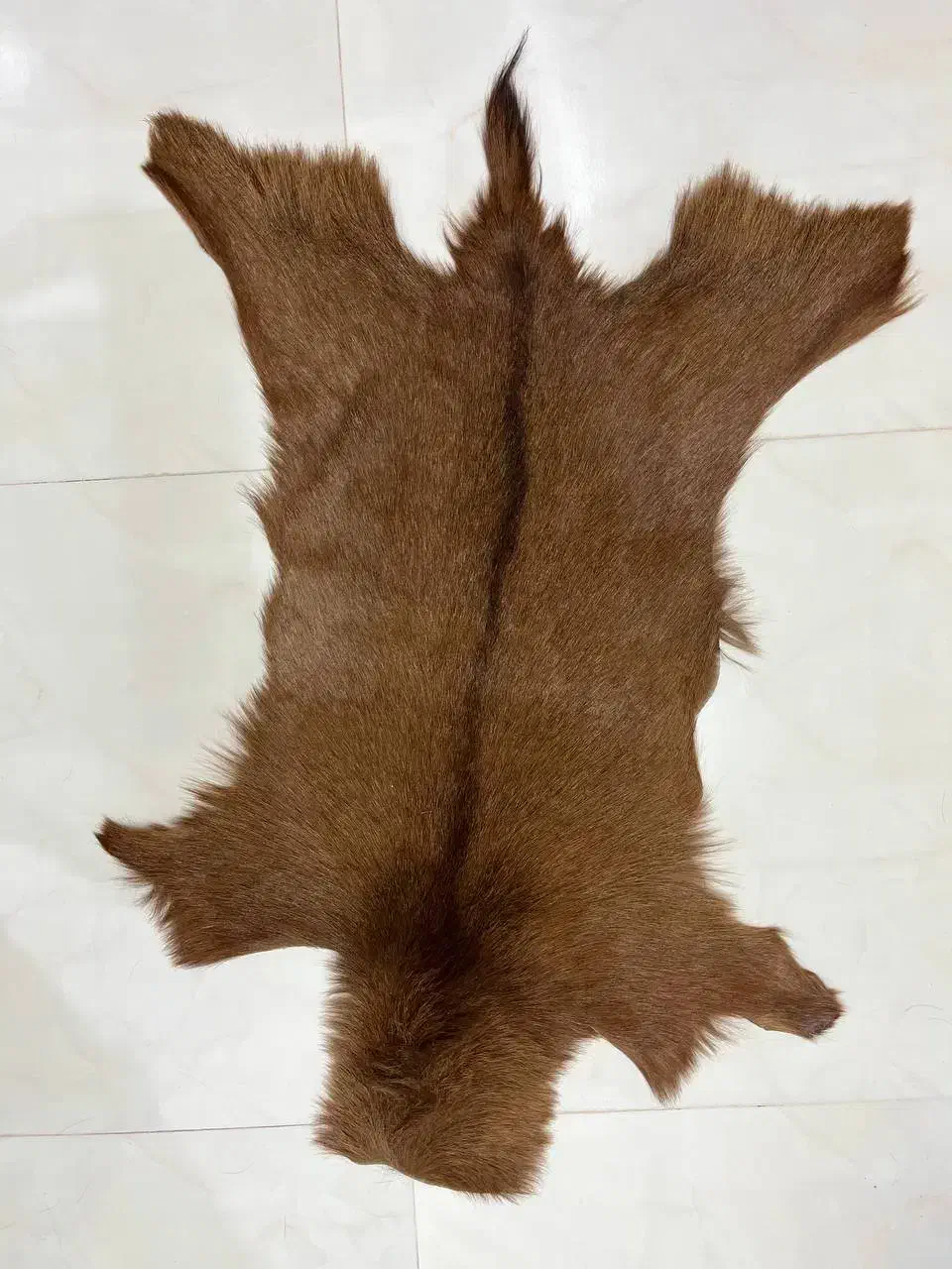 پادری|پادری|مشهد, سرافرازان|دیوار