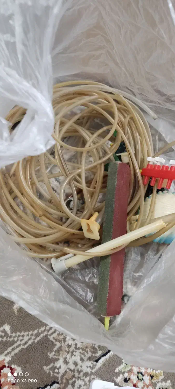 وسایل آکواریوم|ماهی|بندر انزلی, آذربایجان|دیوار