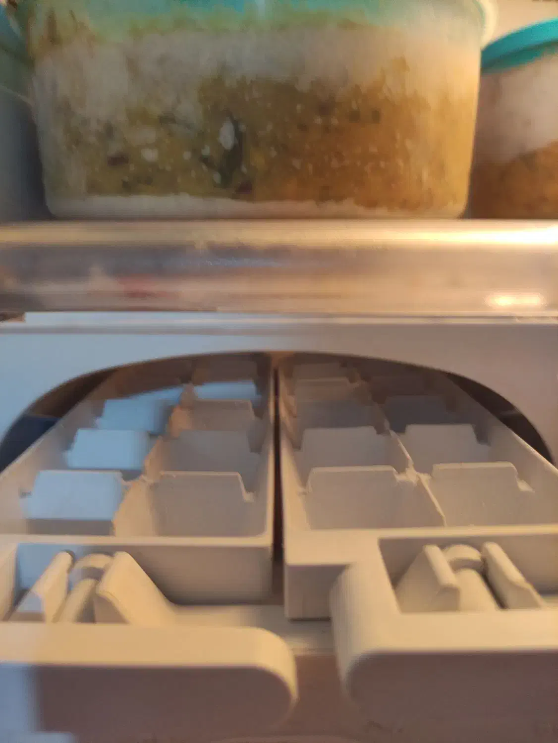 یخچال فریزر سامسونگ|یخچال و فریزر|شیراز, بهارستان|دیوار