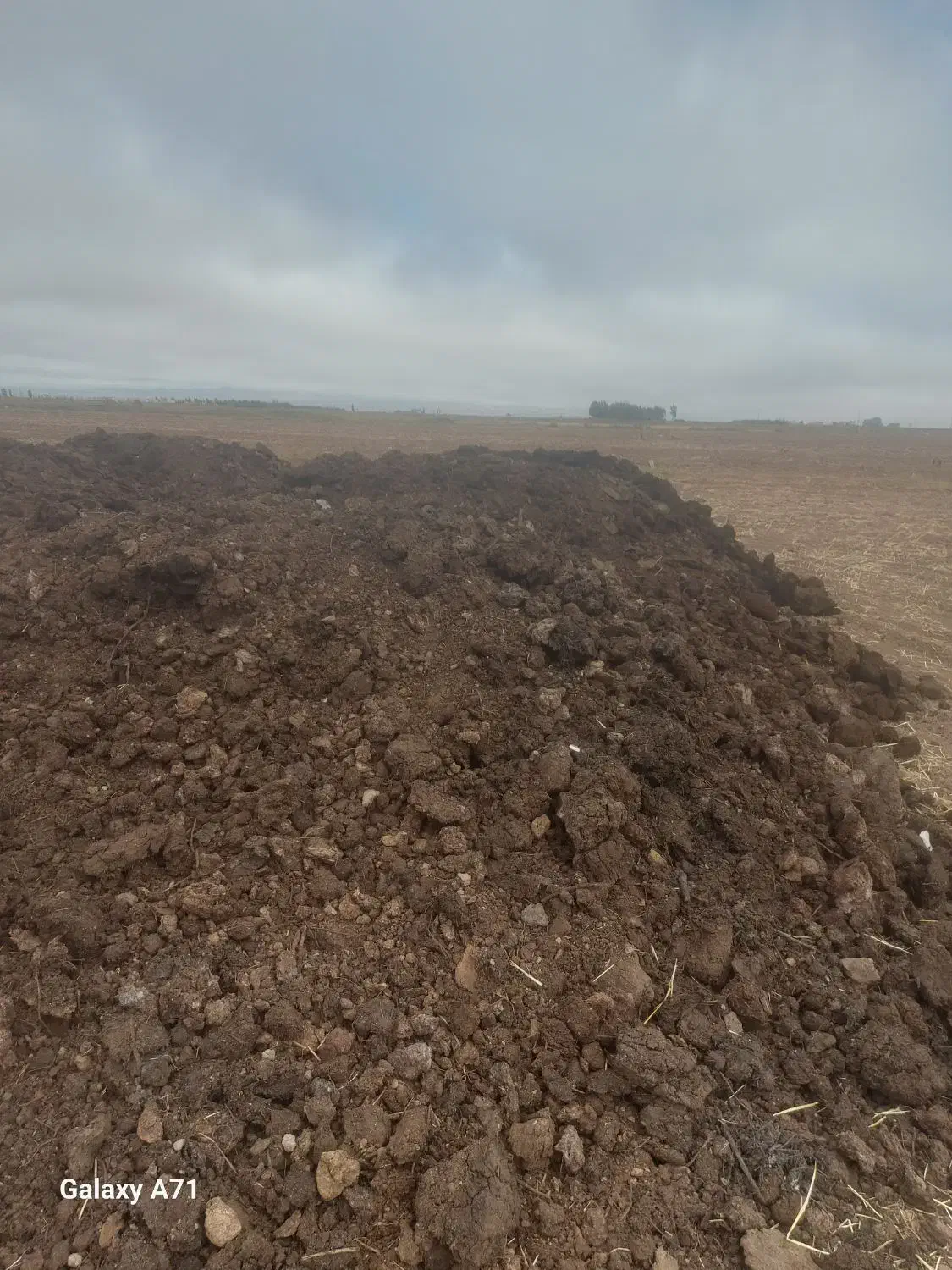 پهن خشک ۶ چرخ ۵۵۰۰ هزار تومان|خدمات باغبانی و درختکاری|اردبیل, |دیوار