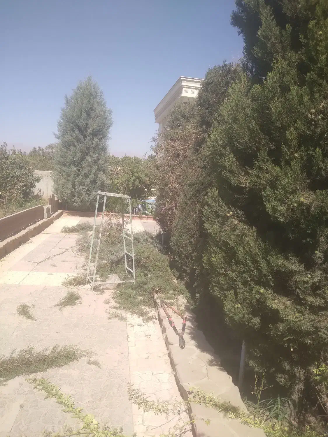 هرس کاری گل و گیاه درخت میوه و....|خدمات باغبانی و درختکاری|نظرآباد, نظرآباد|دیوار