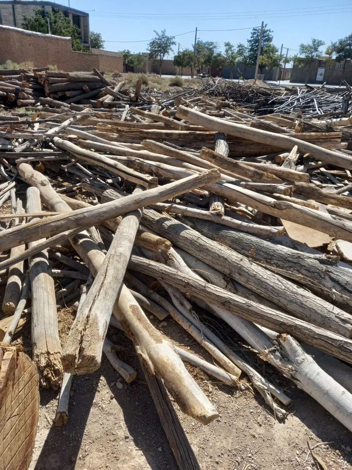 خرید چوب|خدمات باغبانی و درختکاری|آباده, |دیوار