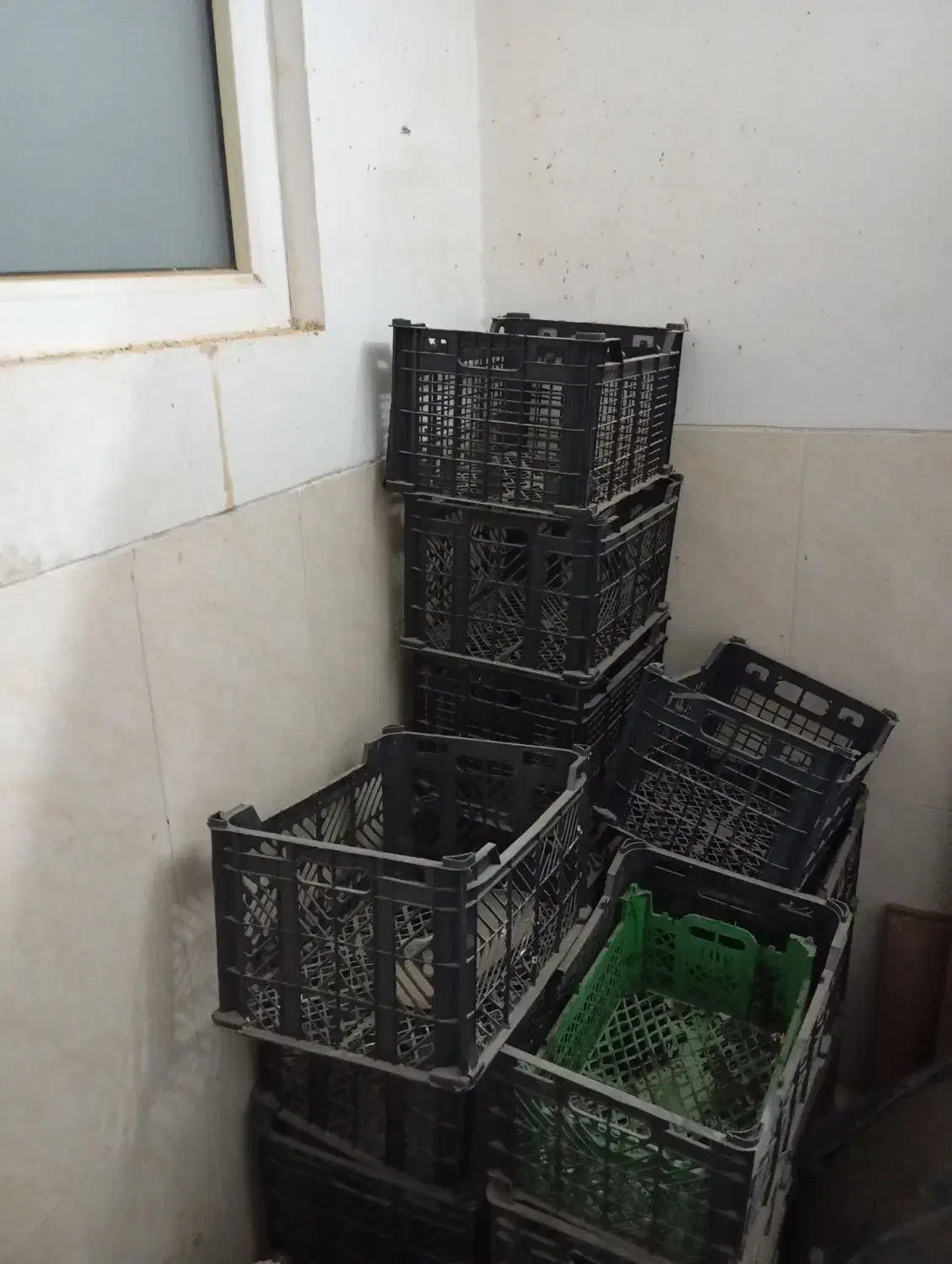 سبد میوه|ظروف نگهدارنده، پلاستیکی، یک‌بارمصرف|حمیدیا, |دیوار