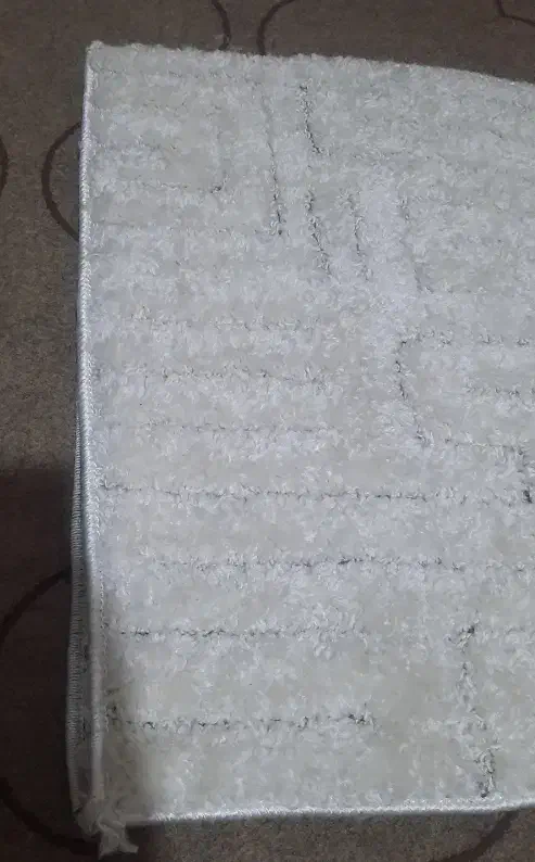 پادری پشمالویی جنس عالی|گلیم، جاجیم، گبه|خمینیشهر, |دیوار