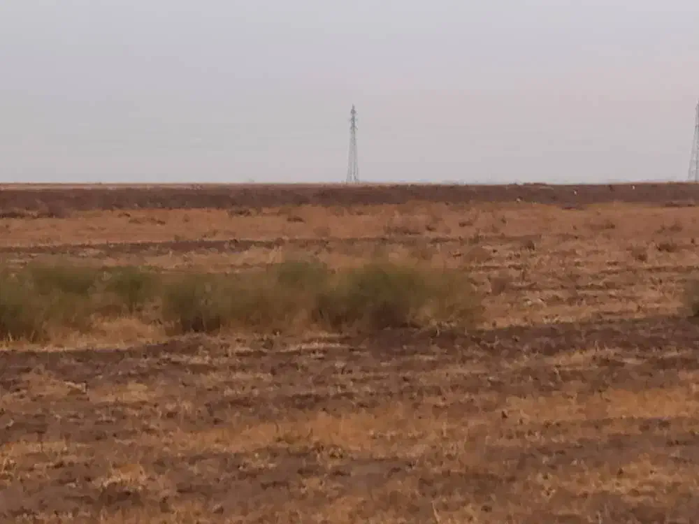 کلیه خدمات اداری زمین|خدمات مالی، حسابداری، بیمه|محمدشهر, همایون ویلا|دیوار