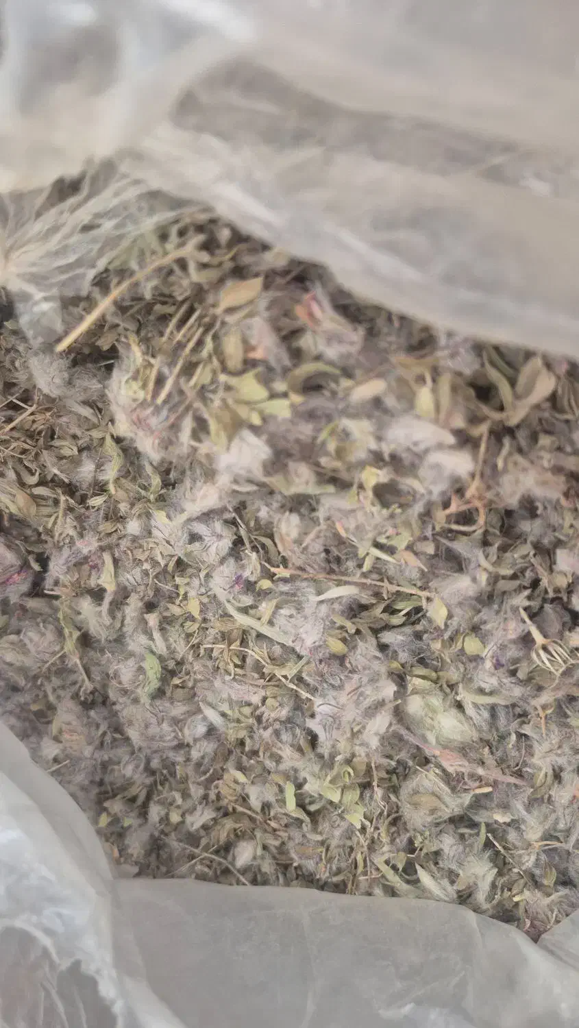 چای کوهی اویشن  پونه|خوردنی و آشامیدنی|تهران, زرکش|دیوار