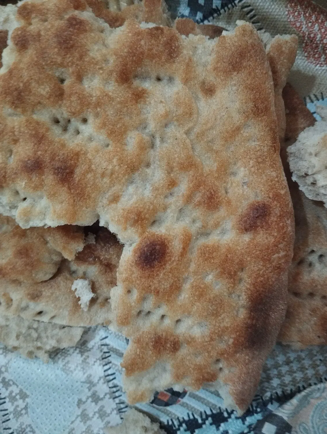 نان خشک|عمده‌فروشی|زابل, |دیوار