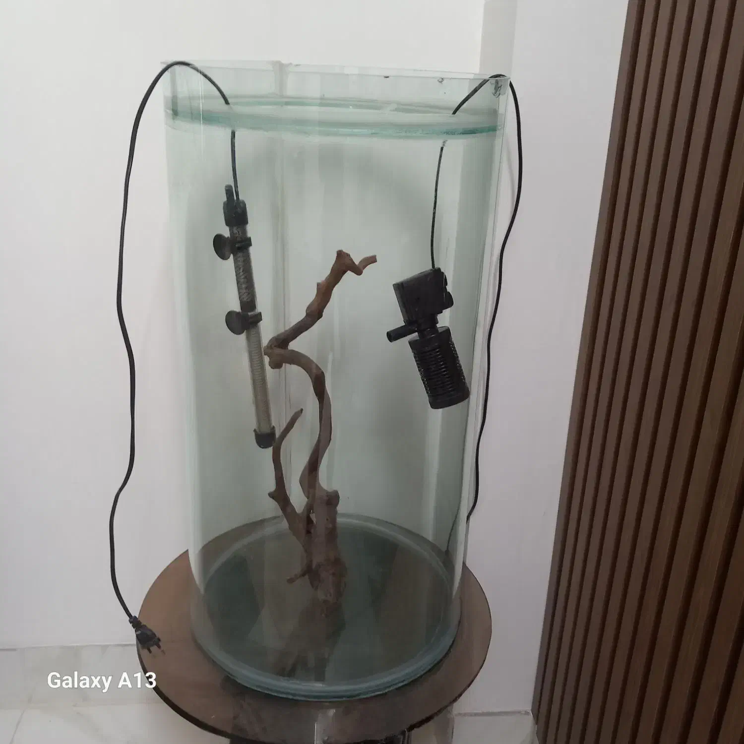 آکواریوم استوانه‌ای بزرگ|ماهی|تربت جام, والفجر|دیوار