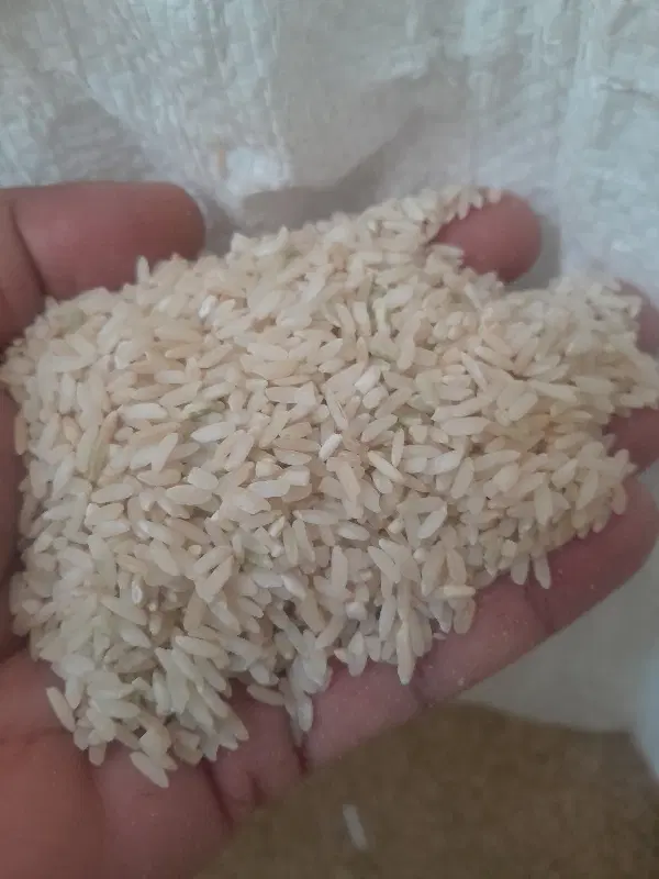 خوردنی|خوردنی و آشامیدنی|لردگان, |دیوار