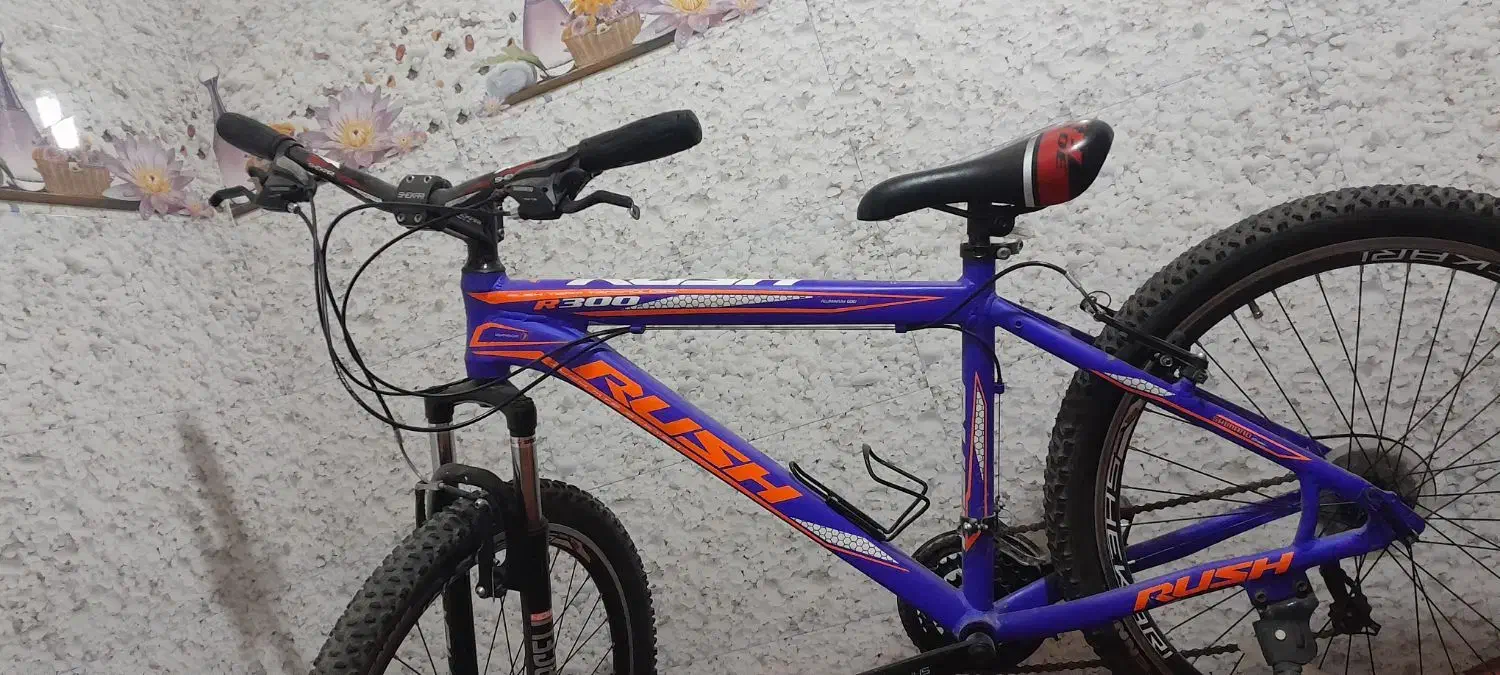 دوچرخه|دوچرخه، اسکیت، اسکوتر|گنبد کاووس, |دیوار