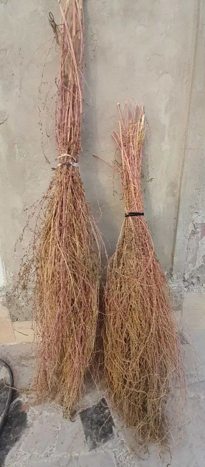 جارو|لوازم نظافت|خرمآباد, |دیوار