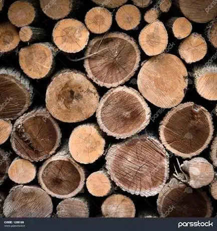 خریدار انواع درخت|خدمات باغبانی و درختکاری|چمستان, |دیوار