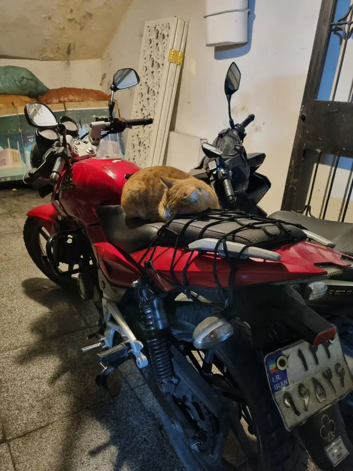 معاوضه متور پالس ۱۸۰ یوجیفور با گوشی و اقساط|موتورسیکلت|تهران, پاسداران|دیوار