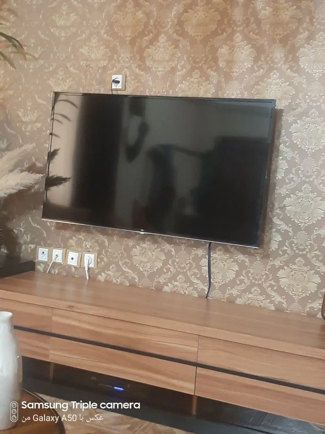 تلویزیون تی س ال|تلویزیون و پروژکتور|بندر انزلی, کلیور|دیوار