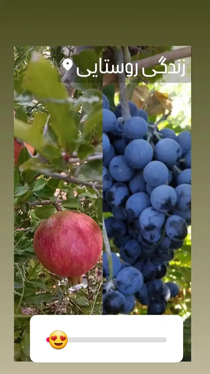 فروش وام ۱۵۰ میلیون|خدمات مالی، حسابداری، بیمه|قره ضیاالدین, |دیوار