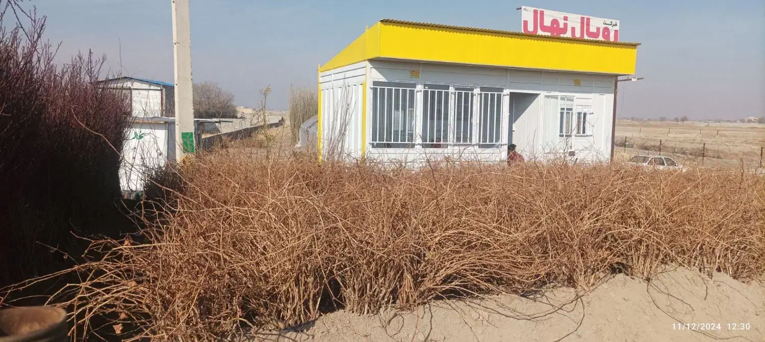 نهال پر کیفیت و اصلاح شده|خدمات باغبانی و درختکاری|زرین آباد, |دیوار