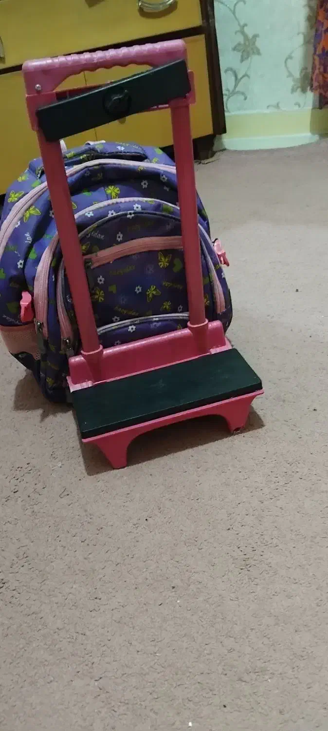 کیف مدرسه|کیف، کفش، کمربند|کازرون, |دیوار