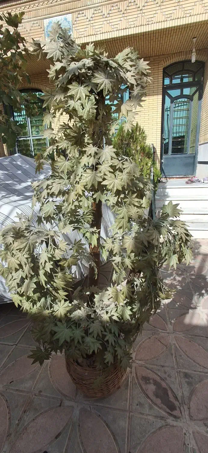 درخت مصنوعی|گل مصنوعی|شیراز, شهرک گلدشت حافظ|دیوار