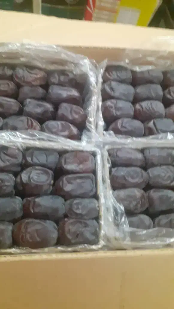 فروش ۱۲۰۰۰کفی کارتن خرمای ۸۰۰گرمی|عمده‌فروشی|بم, |دیوار