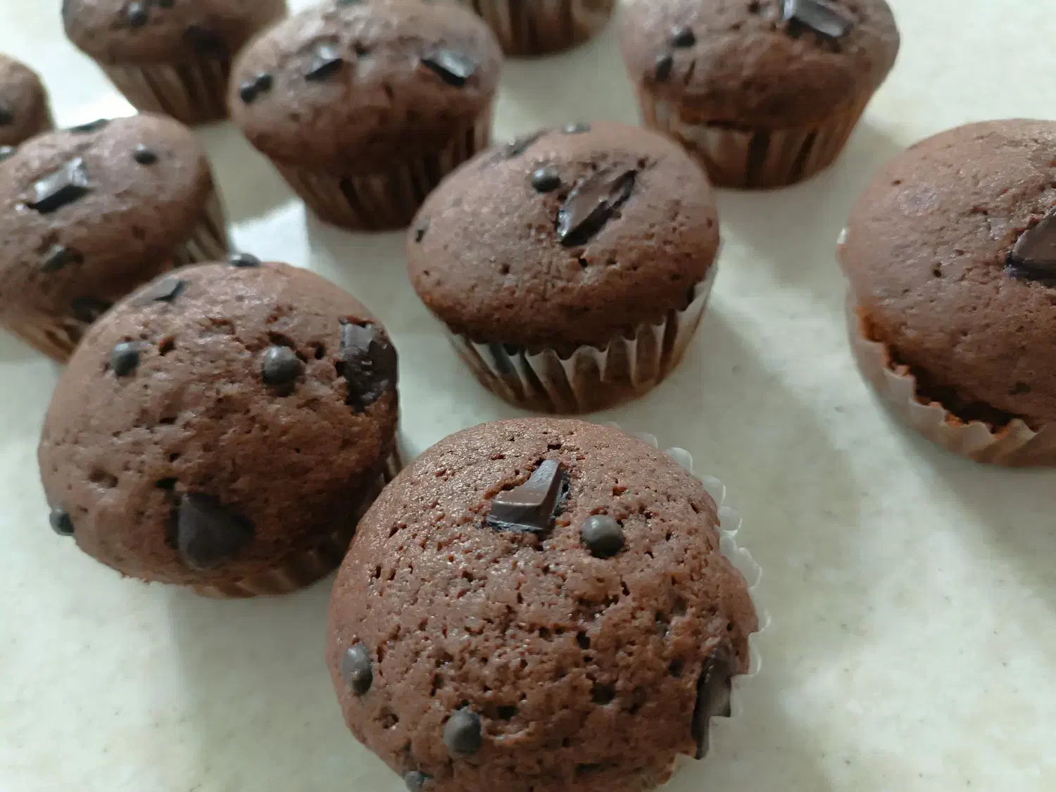 کیک عصرانه پخت روز|خوردنی و آشامیدنی|مشهد, مقدم|دیوار