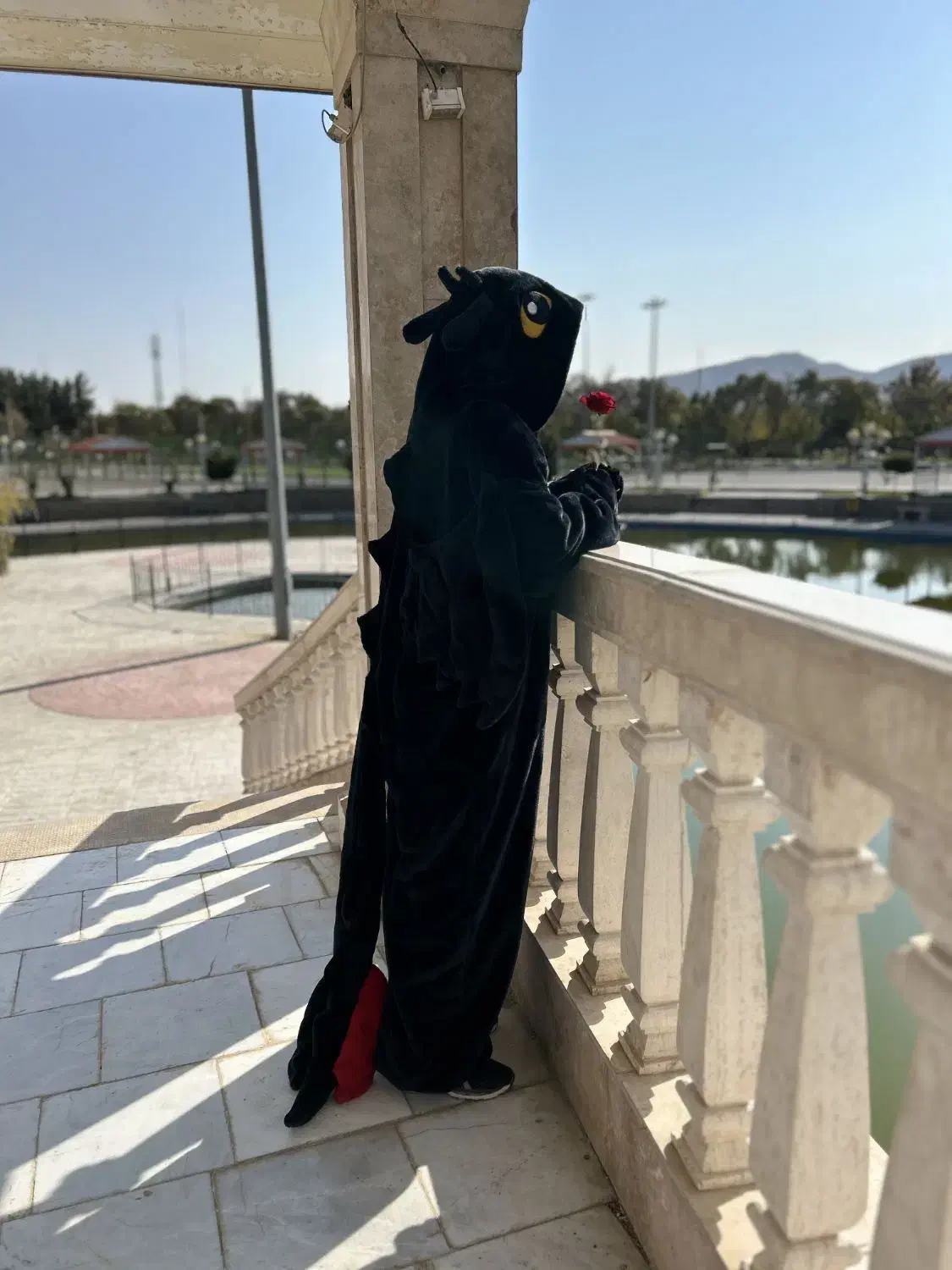 لباس بی دندون|لباس|شیروان (خراسان), |دیوار