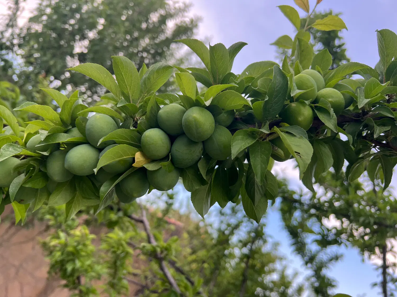 تصویر 3