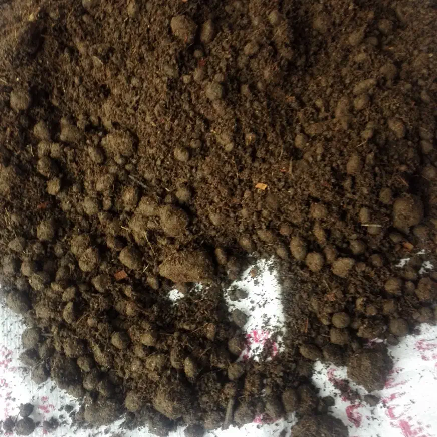 کود گوسفند|گل و گیاه طبیعی|یزد, |دیوار