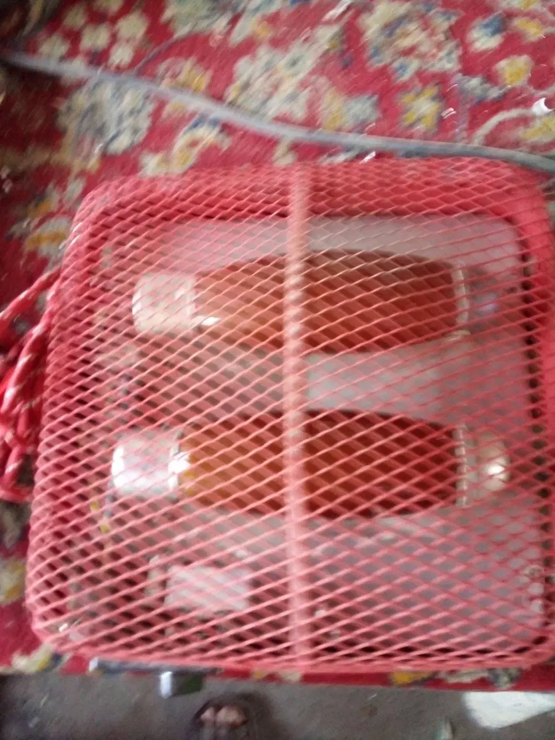 کرسی برقی|بخاری، هیتر، شومینه|کاشان, راوند|دیوار