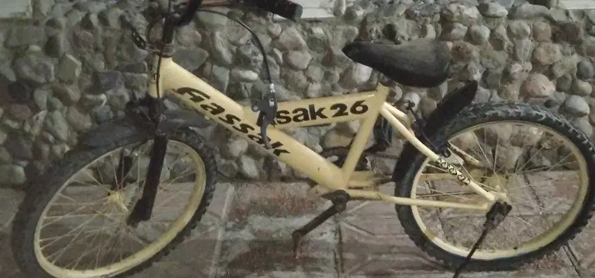 دوچرخه ۲۰|دوچرخه، اسکیت، اسکوتر|تربتحیدریه, مسجد جامع|دیوار