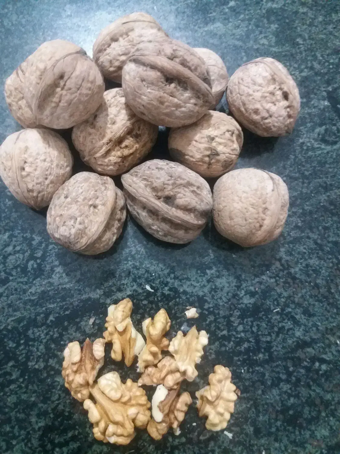 گردو|خوردنی و آشامیدنی|پاوه, |دیوار