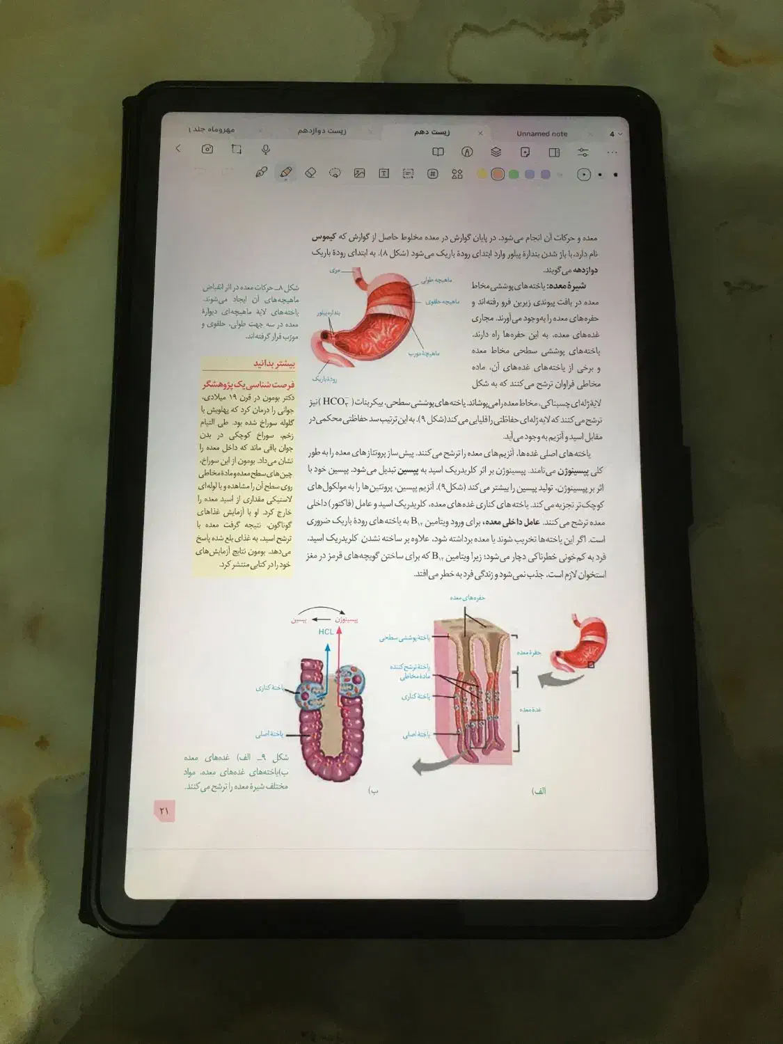 ردمی پد پرو +قلم|تبلت|خرم‌آباد, |دیوار