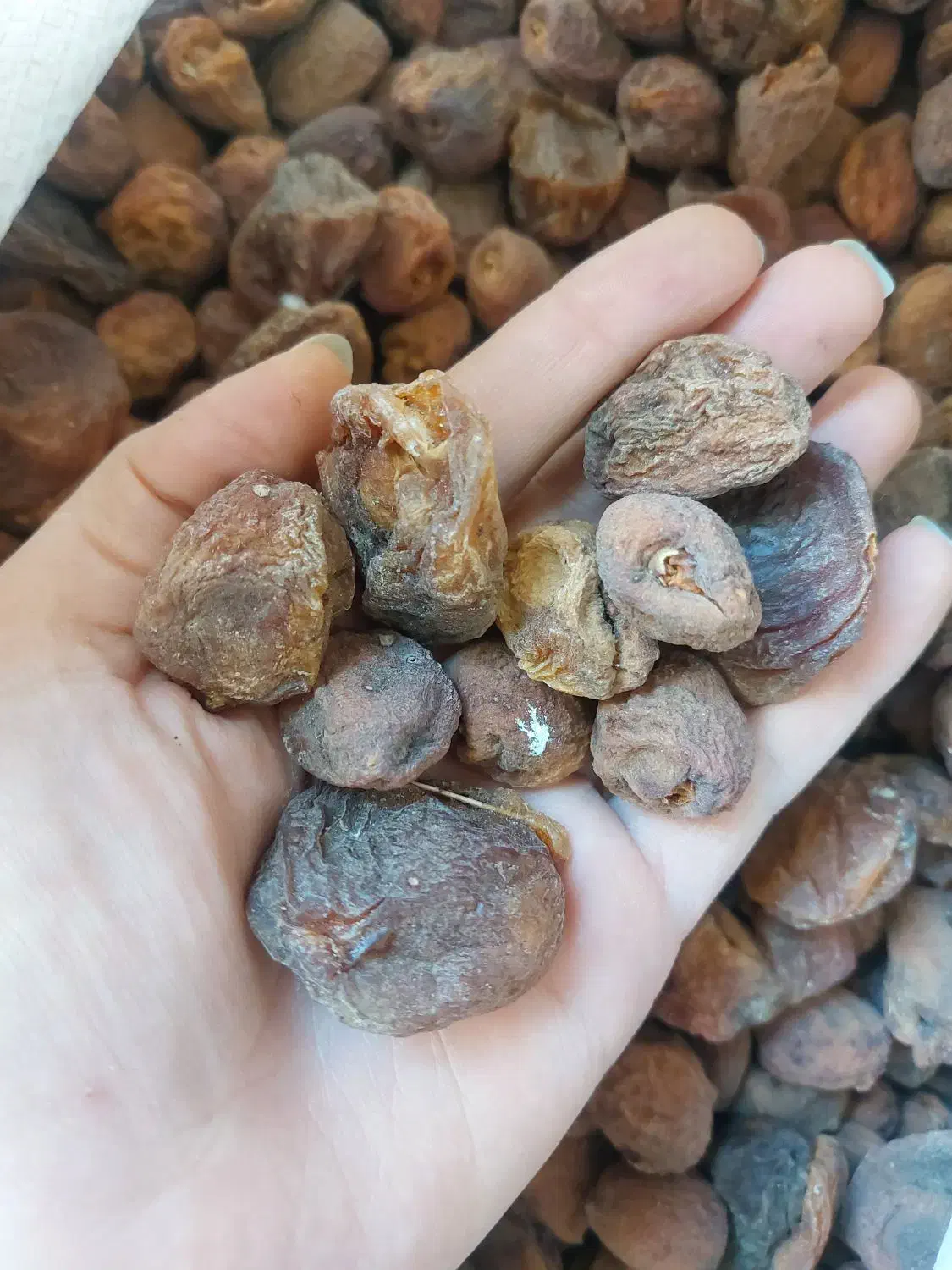 زرد الو|خوردنی و آشامیدنی|بهارستان, |دیوار