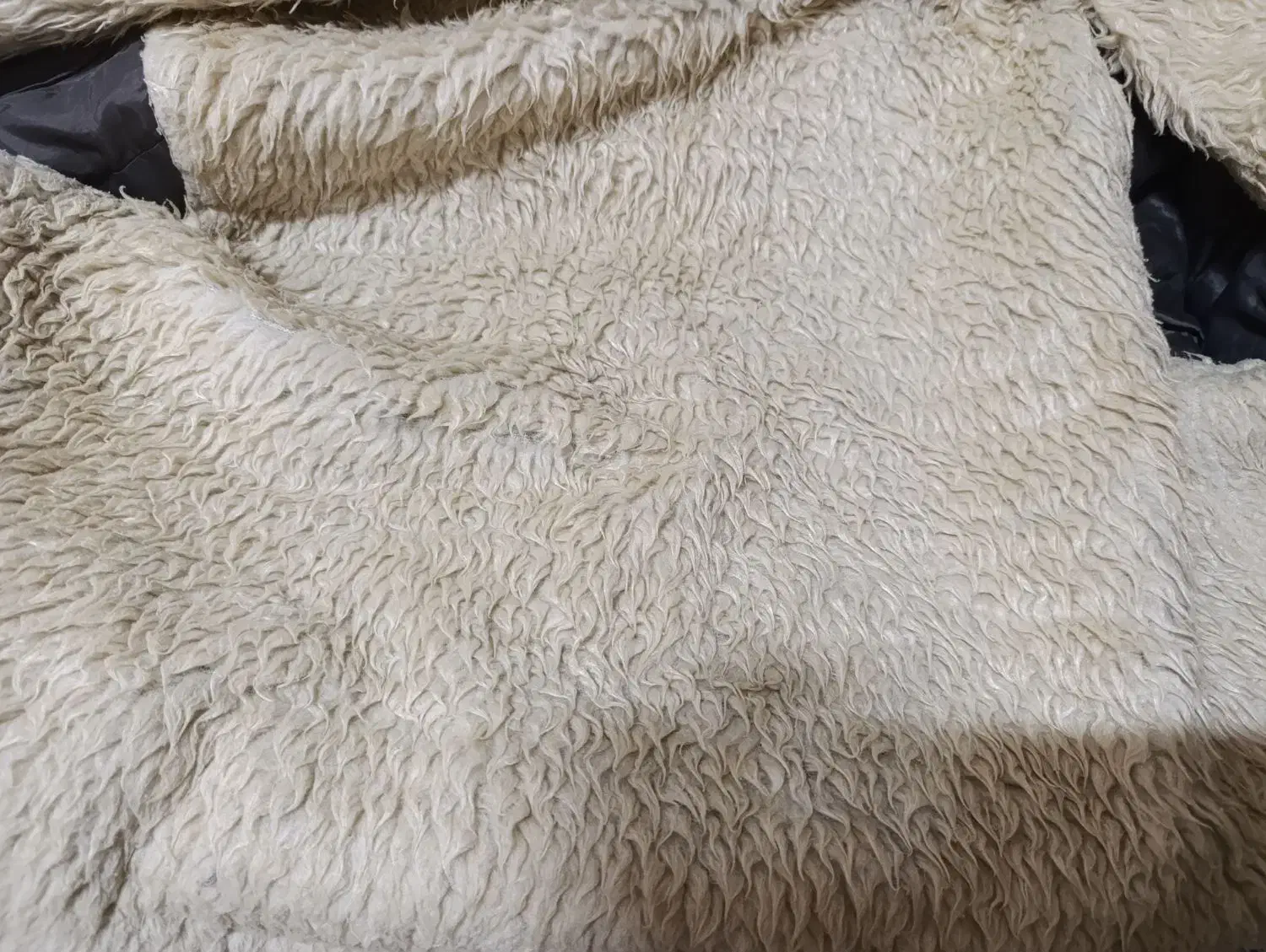 کاپشن عقاب نشان خارجی گرم داخل خزسایز بزرگ|لباس|بروجن, |دیوار