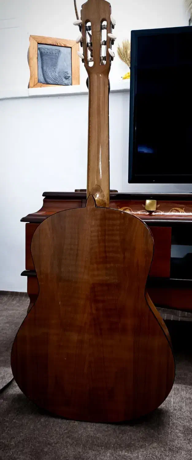 گیتار|گیتار، بیس، امپلیفایر|سبزوار, قصبه اب یمین|دیوار