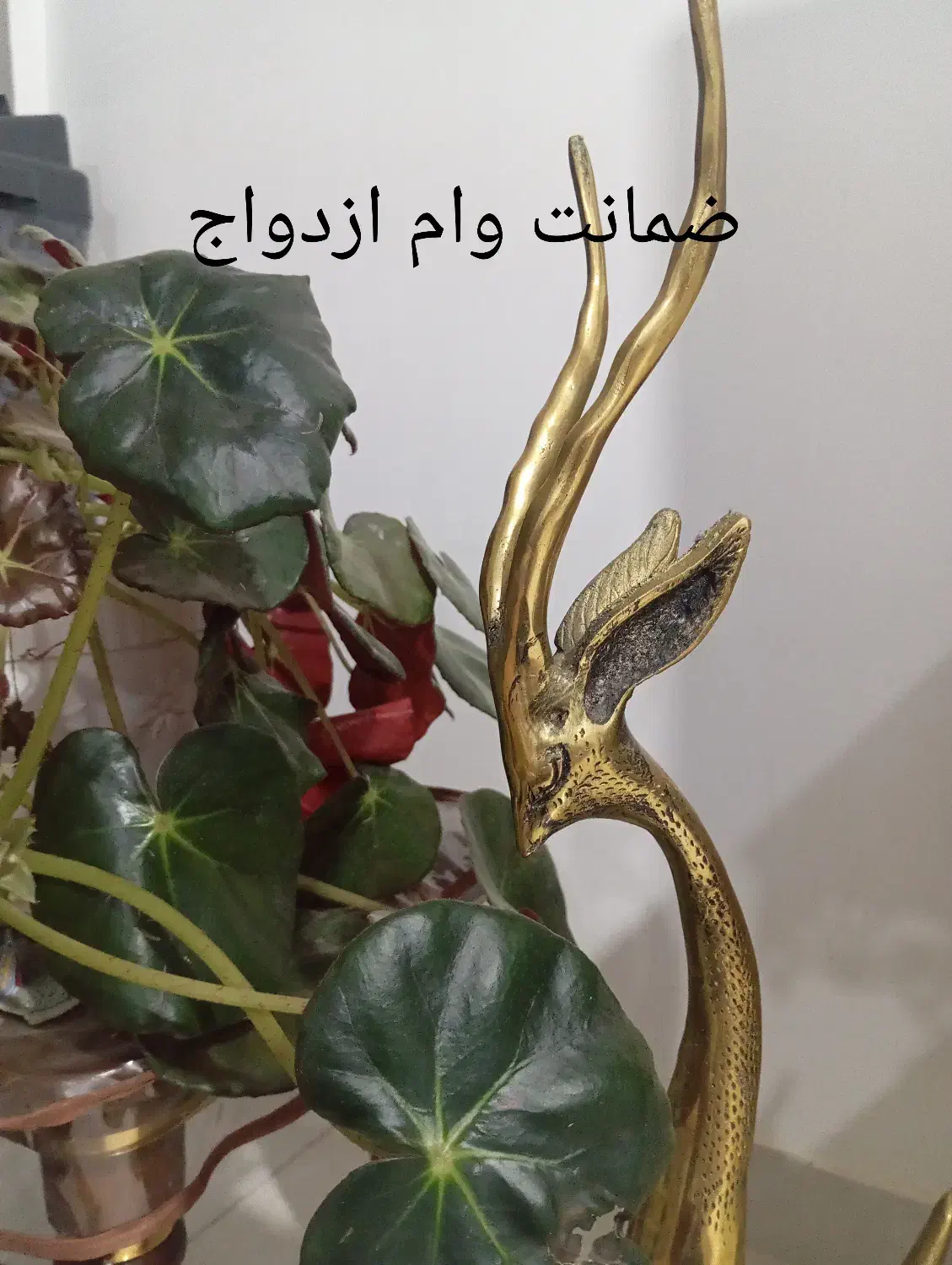 نیازمند ضامن وام ازدواج|خدمات مالی، حسابداری، بیمه|اسلامآباد غرب, |دیوار