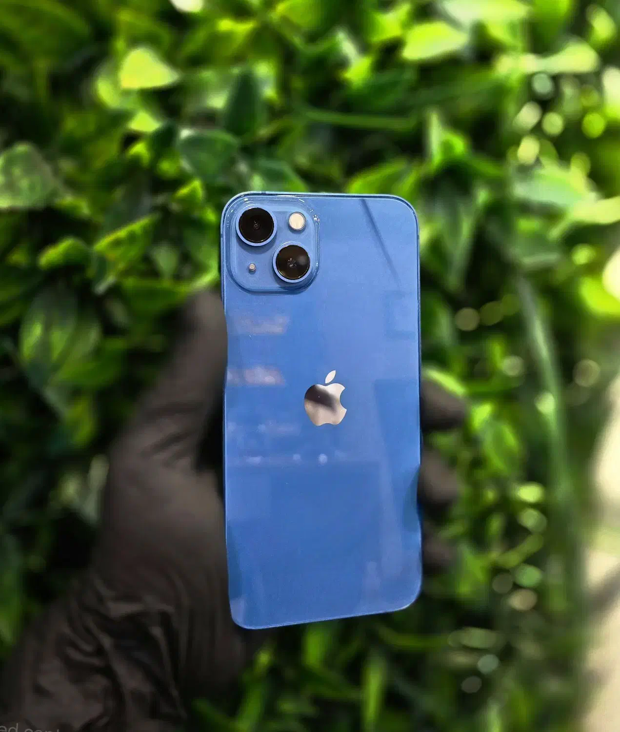 IPHONE 13 NORMAL|موبایل|تبریز, |دیوار