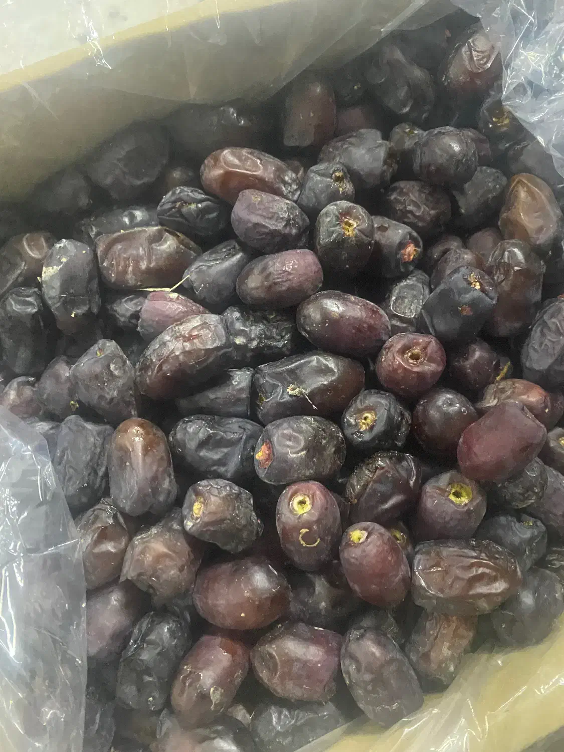 خرمای سروان|خوردنی و آشامیدنی|قم, آزادگان|دیوار