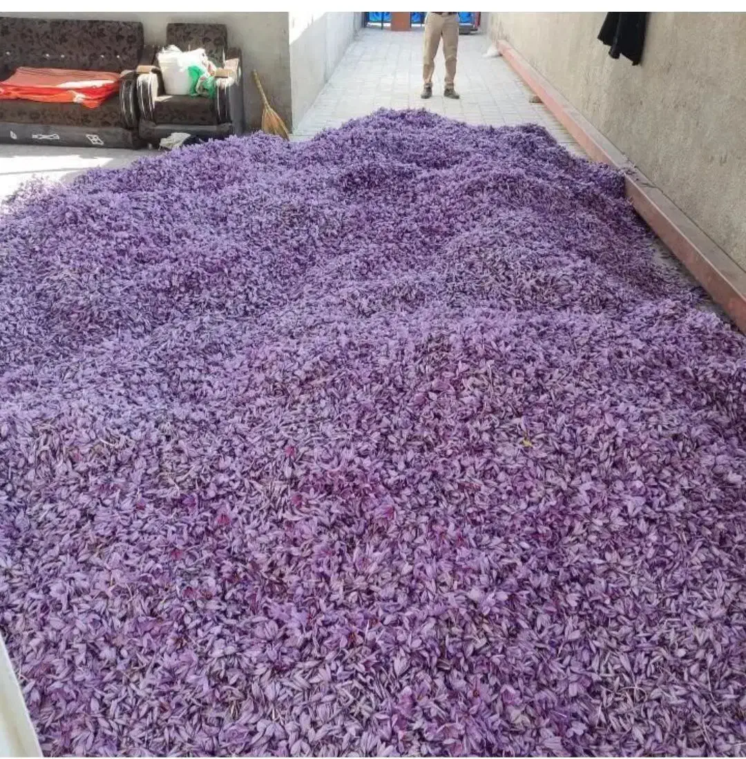 زعفران نگین صادرات|عمدهفروشی|تربتحیدریه, پائین ولایت|دیوار