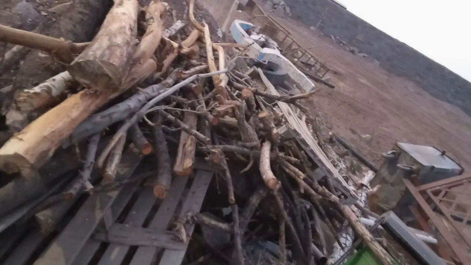 حدودا۳تن چوب هیزمی|خدمات باغبانی و درختکاری|کوهین, |دیوار