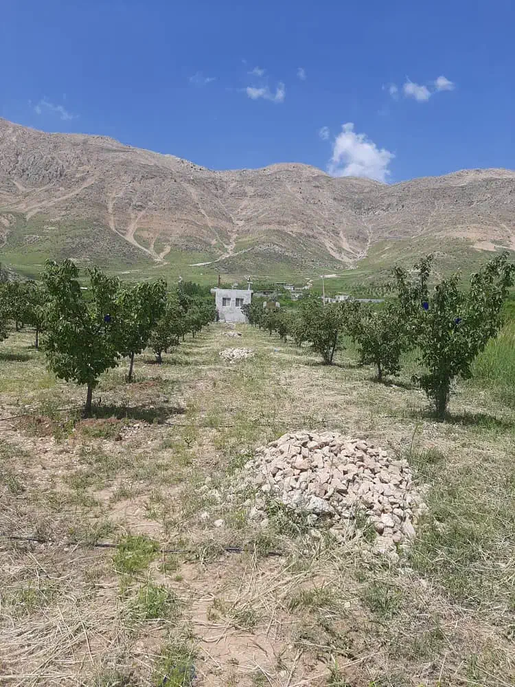 فروش فوری باغ به دربهترین جای کاکان|فروش دفتر صنعتی، کشاورزی، تجاری|یاسوج, |دیوار