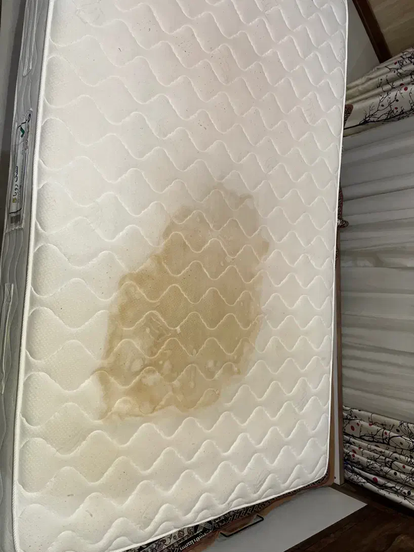 مبلشویی درمنزل|خدمات نظافت|گرگان, |دیوار