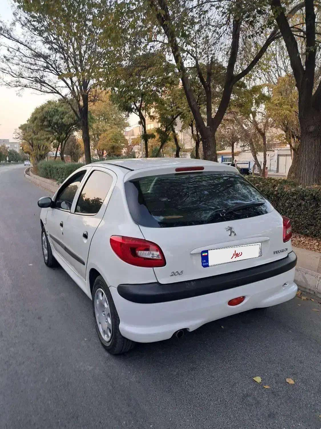 ۲۰۶ تیپ ۲ سالم|خودرو سواری و وانت|ابهر, |دیوار