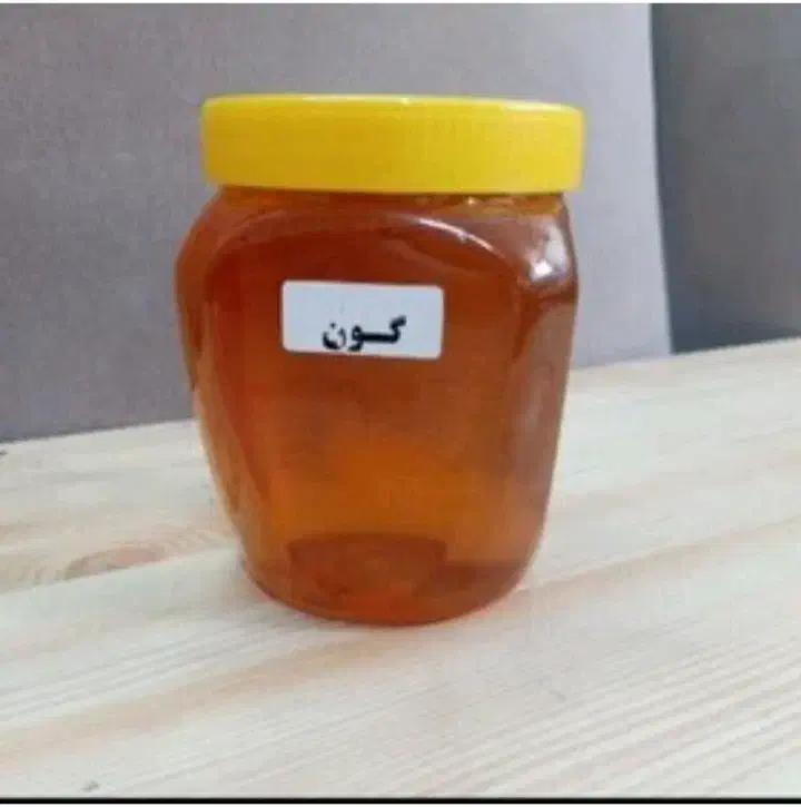 عسل درجه یک آزمایش شده|خوردنی و آشامیدنی|قرچک, میرزائی جنوبی|دیوار